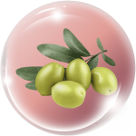 Dẫn chất dầu Olive