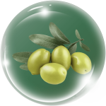 Dẫn chất dầu Olive