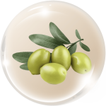 Dẫn chất dầu Olive