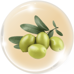 Dẫn chất dầu Olive