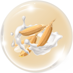 Sữa gạo