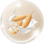 Sữa gạo