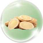 Hoàng cầm