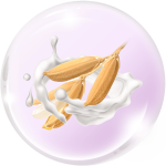 Sữa gạo