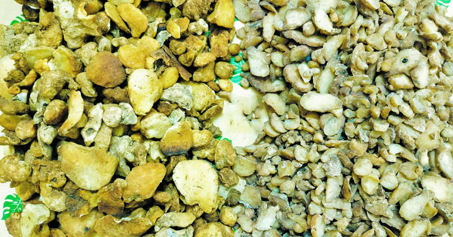 Bán Hạ: Thông tin, công dụng & các bài thuốc