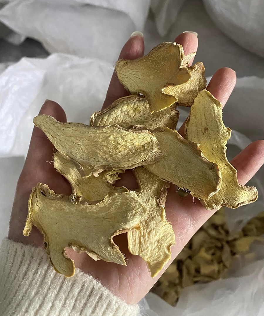 Can Khương (Gừng Khô): Thông tin, công dụng & các bài thuốc