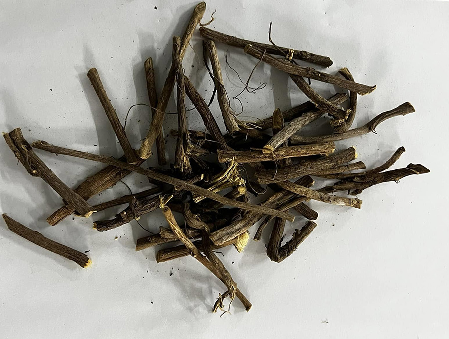 Cam Thảo Bắc