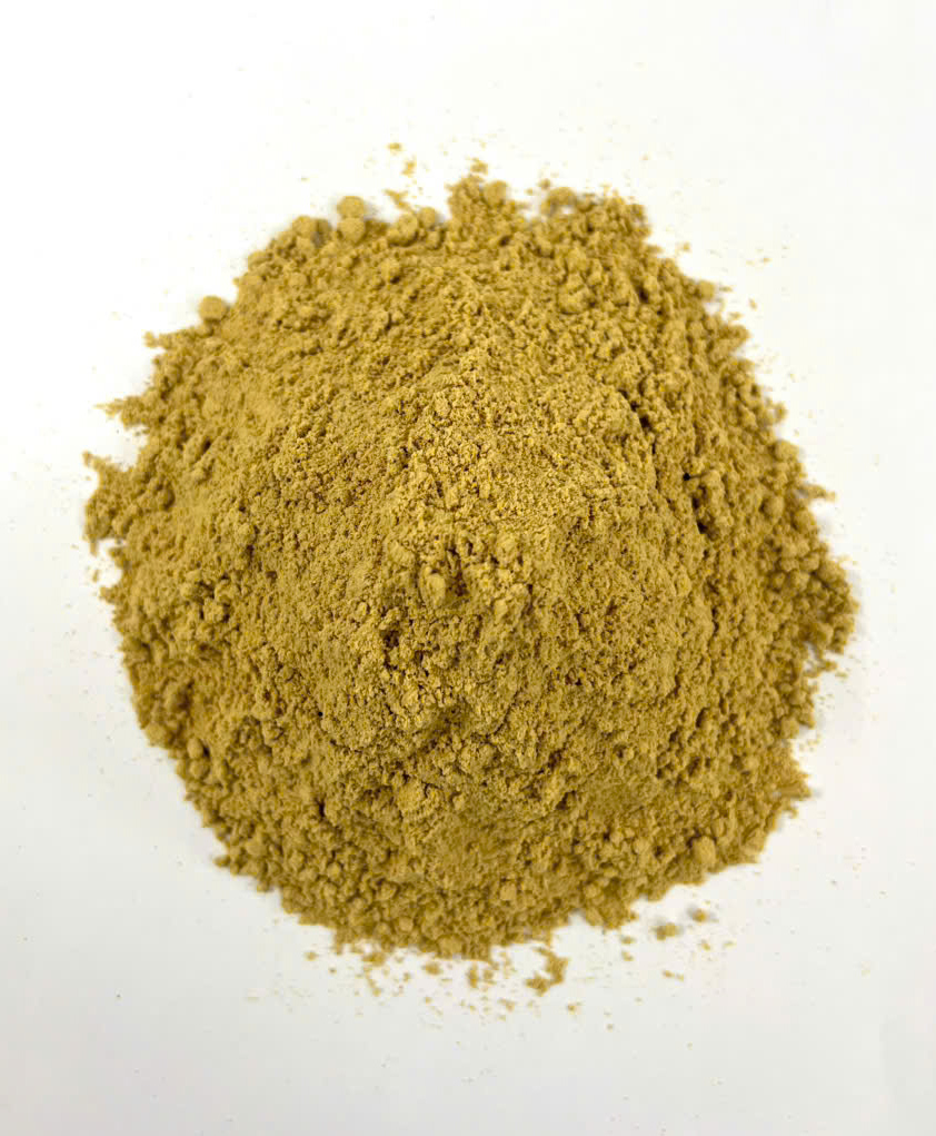Can Khương (Gừng Khô): Thông tin, công dụng & các bài thuốc