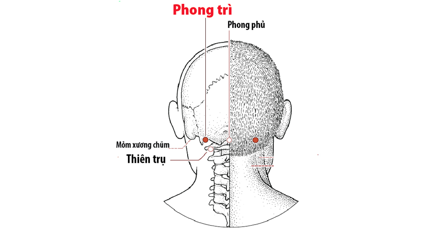 Bấm huyệt Phong Trì trị ho