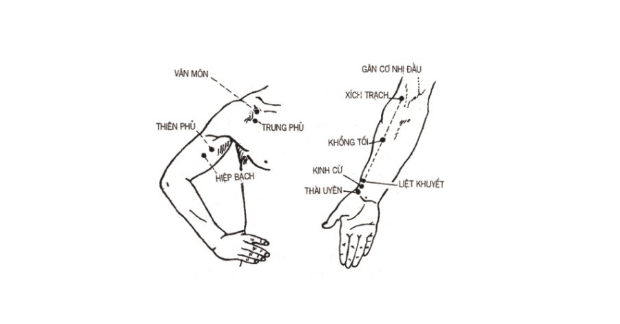 Những lưu ý khi bấm huyệt trị ho
