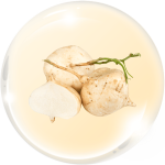 Củ đậu