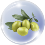 Dẫn chất dầu Olive