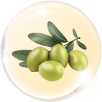 Dẫn chất dầu Olive