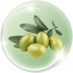 Dẫn chất dầu Olive