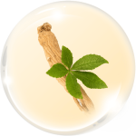 Đương quy