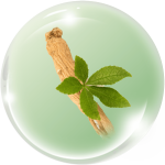 Đương quy
