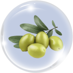 Dẫn chất dầu Olive