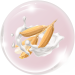 Sữa gạo