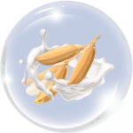 Sữa gạo